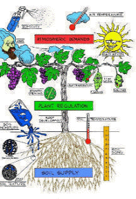 Cartoon diagram of the the major environmental stresses.